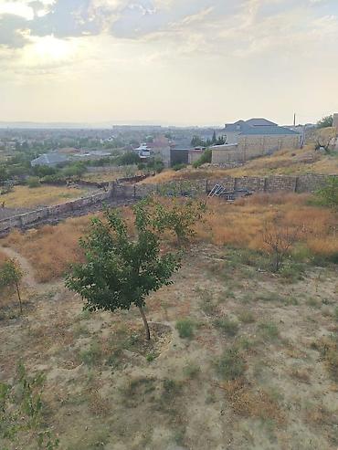 Həyət evləri və villalar: Saray 7 otaqlı, 180 kv. m, Orta təmir — 9