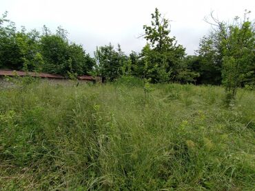 Torpaq sahələrinin satışı: 6 sot, Tikinti, Barter mümkündür, Kupça (Çıxarış) -da lalafo.az — 8 Torpaq sahələrinin satışı: 6 sot, Tikinti, Barter mümkündür, Kupça (Çıxarış) — 8