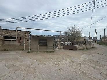 zig evler: 4 sot, Tikinti, Mülkiyyətçi, Kupça (Çıxarış) — 3