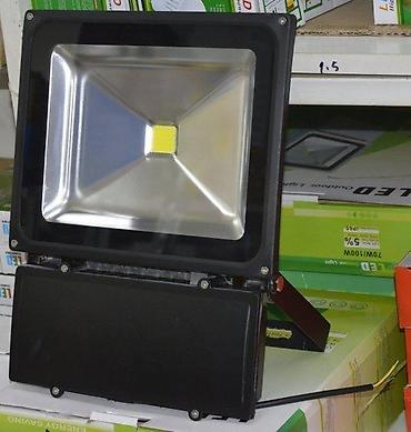 gipsofila sadnice prodaja: Led reflektori sa senzorom i bez. Odlicni Led reflektori sa senzorom i — 2