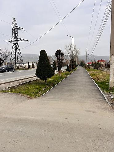 Аренда помещений свободного назначения: Сдаётся в аренду помещения в отдельно стоящем здании у трассы — 10