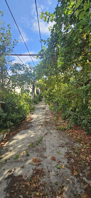 Torpaq sahələrinin satışı: 48 sot, Kənd təsərrüfatı, Kupça (Çıxarış) — 6