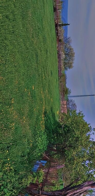 Kirayə torpaq sahələri: 10 sot Kənd təsərrüfatı, Qaz, Su, İşıq — 13