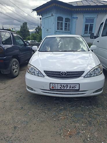 туманки камри 55: Toyota Camry: 2002 г., 2.4 л, Механика, Бензин, Седан — 2