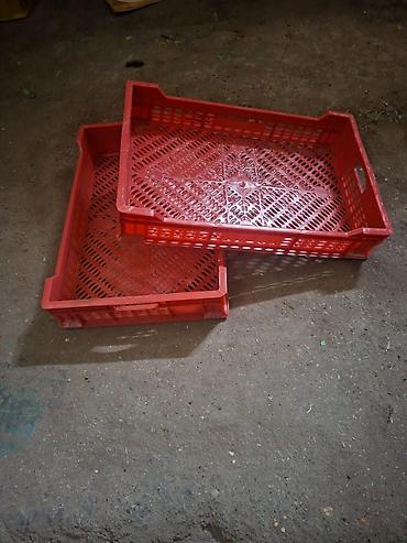 Digər mağaza avadanlığı: Plastik yeşik(tara,sebet,yesik,qutu) istehsalı. ölçülər 60/40/10sm — 11