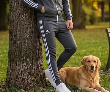 lakovane helanke: Adidas muška trenerka donji deo NOVO Novo Mokra likra Veličine m l xl — 1