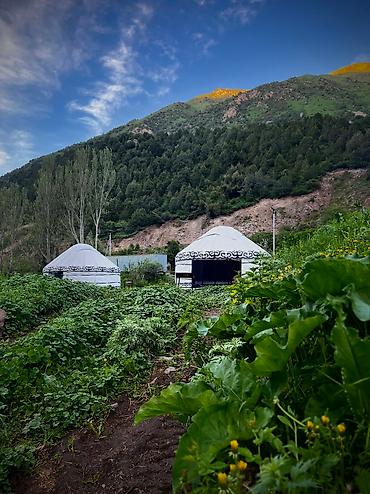 Аренда юрт: Аренда юрт,тапчанов. Вместимость юрт от 15-20,человек. В стоимость — 5