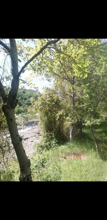 ismayillida kotecler: 16 sot, Biznes üçün, Mülkiyyətçi