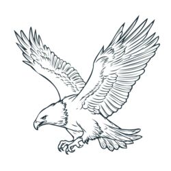 охрана ноч: Ищу работу,или кабинет!! есть опыт, работал в Москве, последние годы