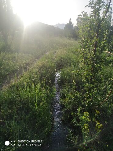 Bağ evlərinin satışı: Lerik, 115 kv. m, 3 otaqlı, İnternet, Telefon, Qaz — 13