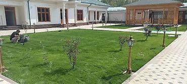 Профессиональное устройство рулонного газона и озеленение придомовой