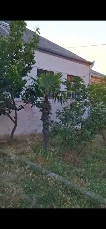 Bağ evlərinin kirayəsi: 1111 kv. m, 2 otaqlı — 12