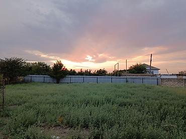 Həyət evləri və villaların satışı: 5 otaqlı, 143 kv. m, Təmirsiz — 16