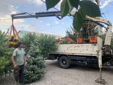 Услуги манипулятора: Кран кант длина стрелы: 7.2 метра грузоп. стрелы: 2.8 тонны борт: 6 — 17