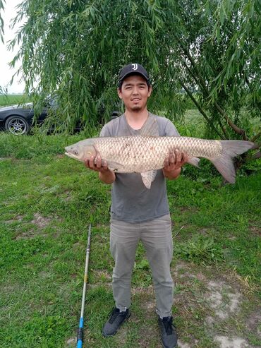 �������������� ���� ������������ в Кыргызстан | ОХОТА И РЫБАЛКА: С 24.04.22 открывается платная рыбалка!!! Цена с рыбака за сутки