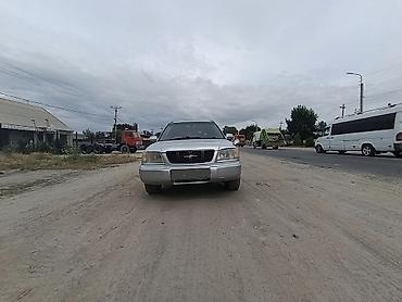 forester: Subaru Forester: 2004 г., 2 л, Автомат, Бензин, Универсал — 2