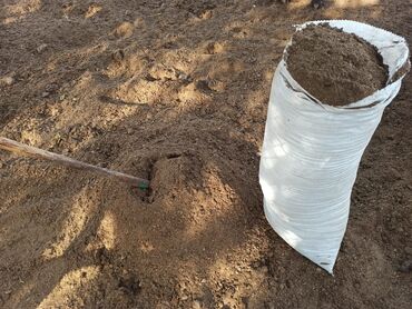 Peyin: Toz halinda mal peyini - kisesi 2,60 q. ( boyuk kepek kisesinde) — 3