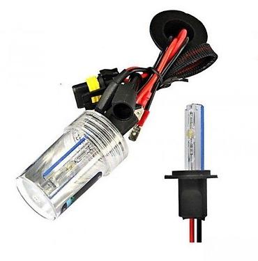 HID ksenon sijalica za automobil – zamenska sijalica sa instalacijom