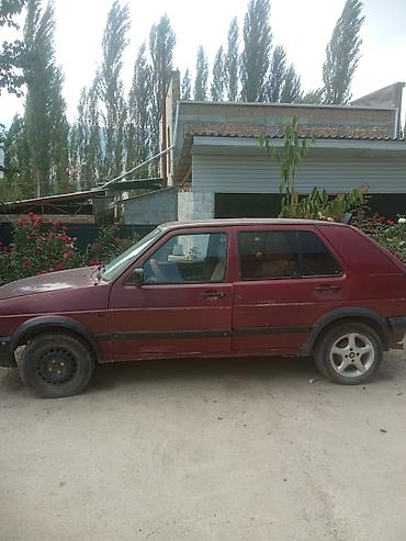 термо бутки: Volkswagen Golf: 1996 г., 1.6 л, Механика, Бензин, Хэтчбэк — 2