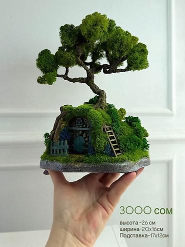 Декоративные цветы: Деревья-бонсай из натурального стабилизированного мха🌳 -это — 48