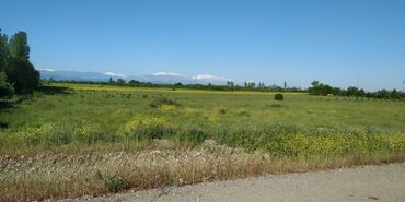 Torpaq sahələrinin satışı: 116 sot, Kənd təsərrüfatı, Barter mümkündür, Kupça (Çıxarış) -da lalafo.az — 16 Torpaq sahələrinin satışı: 116 sot, Kənd təsərrüfatı, Barter mümkündür, Kupça (Çıxarış) — 16