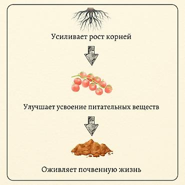 Удобрения и садовая химия: Удобрение Платная доставка — 3