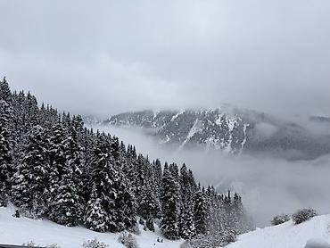 Долгосрочная аренда домов: (Можно рассмотреть варианты на долгосрочную аренду от 3 месяцев и — 15