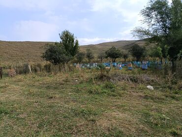 Продажа домов: Дом, 60 м², 4 комнаты, Собственник, Косметический ремонт — 19