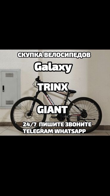 скупка денег: Скупка Велосипедов Giant Trinx Galaxy 
Все виды великов