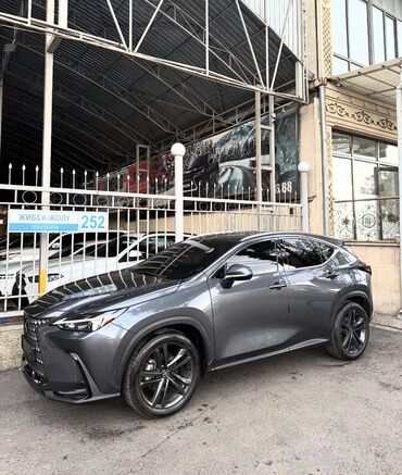 наушники на лексус: Lexus NX: 2024 г., 2.5 л, Автоматтык, Гибрид, Кроссовер