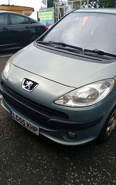 reno clio 1: LIMARIJA ZA PEUGEOT 1007 | Limarija za peugeot 1007 kao i dosta — 1