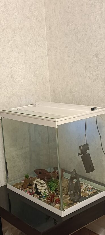 сколько стоит аквариум: Dördbucaq akvarium, Boş, 100 l