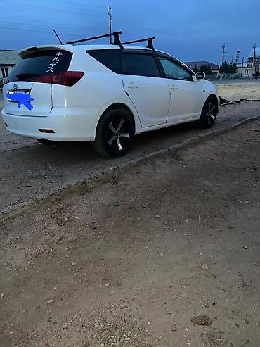 мустанг лошадь цена: Toyota Caldina: 2005 г., 1.8 л, Газ, Универсал — 3