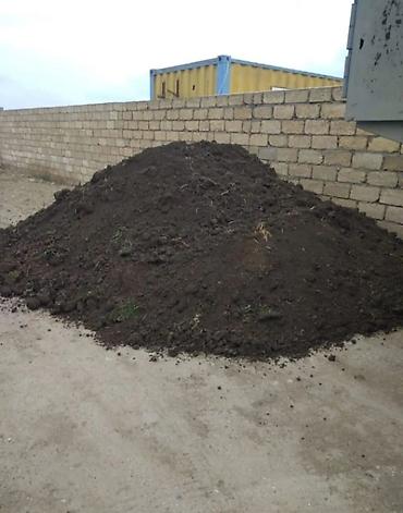 ev gulleri sekilleri: Ən Münbit torpaq və 100% Təmiz peyin satışı! Qara torpaq ✅ İsmayıllı — 7