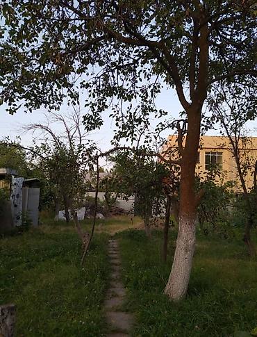 Продажа дач: Дачный дом с участком в СТ Труд в селе Арашан. Коммуникации: свет — 9