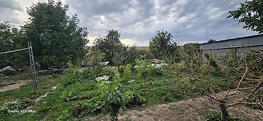 14 соток, Для строительства, Красная книга