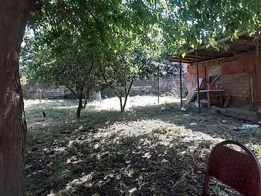 ucuz ev satilir: 3800 sot, Kupça (Çıxarış) — 1
