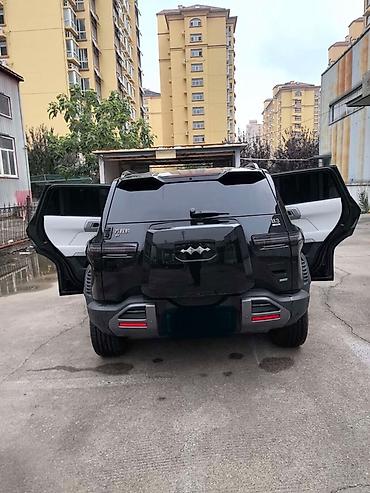 стойки для колонки: BYD Leopard 3🐆(чёрный кузов, светлый интерьер) Основные — 2