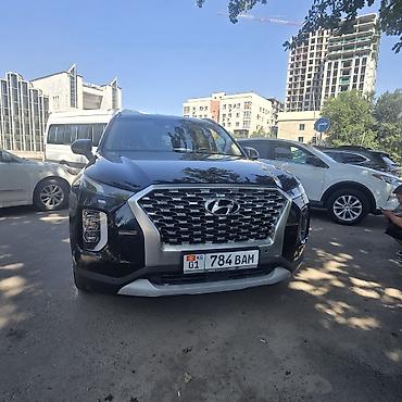terrain: Hyundai Palisade: 2020 г., Кроссовер — 1