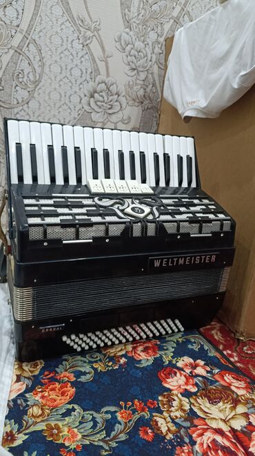микрофон hyperx: Weltmeister Cordal 3/4