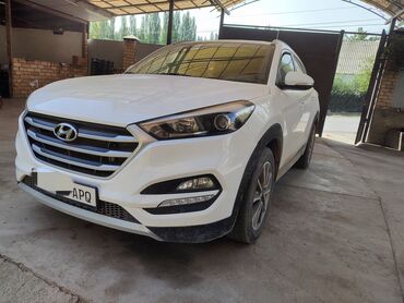 byd машина цена бишкек: Hyundai Tucson: 2018 г., 2 л, Типтроник, Дизель, Кроссовер
