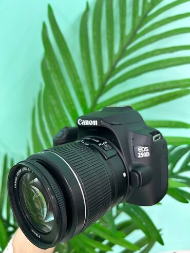 canon video: Canon 250D + 18-55 mm