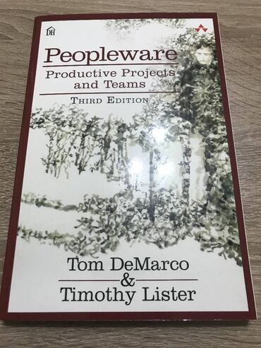 andjelika komplet knjiga: Peopleware: Productive Projects and Teams Одлично очувана књига