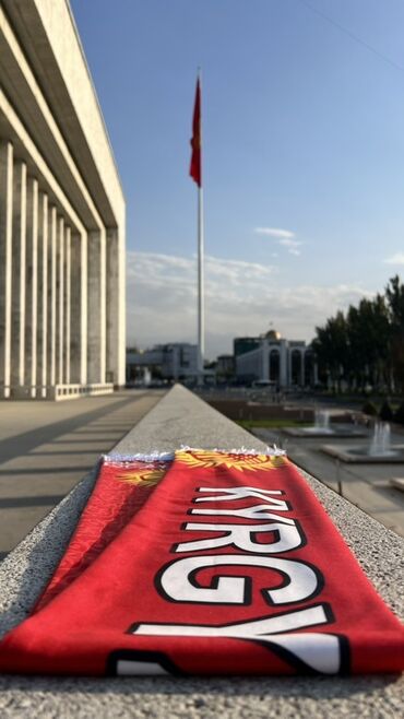 Шарфы, палантины: Изготавливаем на заказ Шарфы для фанатов, съездов политических партий — 18