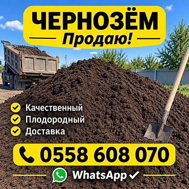 дерево дрова: В тоннах, Самовывоз, Хово — 1