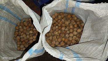 Продукты питания: Продаю грецкие орехи — 3
