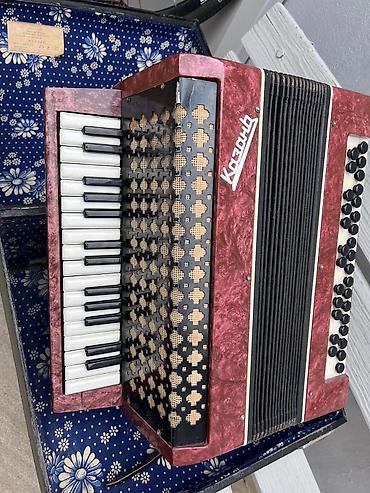 qarmon satışı: Akustik Akkordeon, İşlənmiş — 1