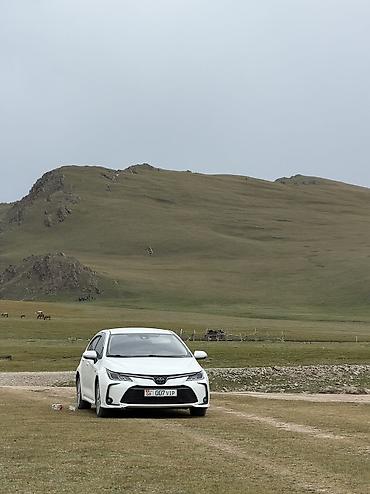 Унаа сатуу: Toyota Corolla: 2019 г., 1.8 л, Автомат, Гибрид, Седан — 1