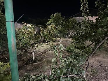 Bağ evlərinin satışı: SAHIBINDEN 🏡 ALBALILIQDA MÖHTƏŞƏM BAĞ EVİ – HƏM YAŞAYIŞ, HƏM DƏ — 26