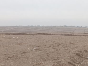 Продажа участков: 1300 соток, Для сельского хозяйства, Договор купли-продажи — 23